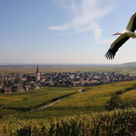 Les Chambres Du Vignoble Ammerschwihr Dış mekan fotoğraf